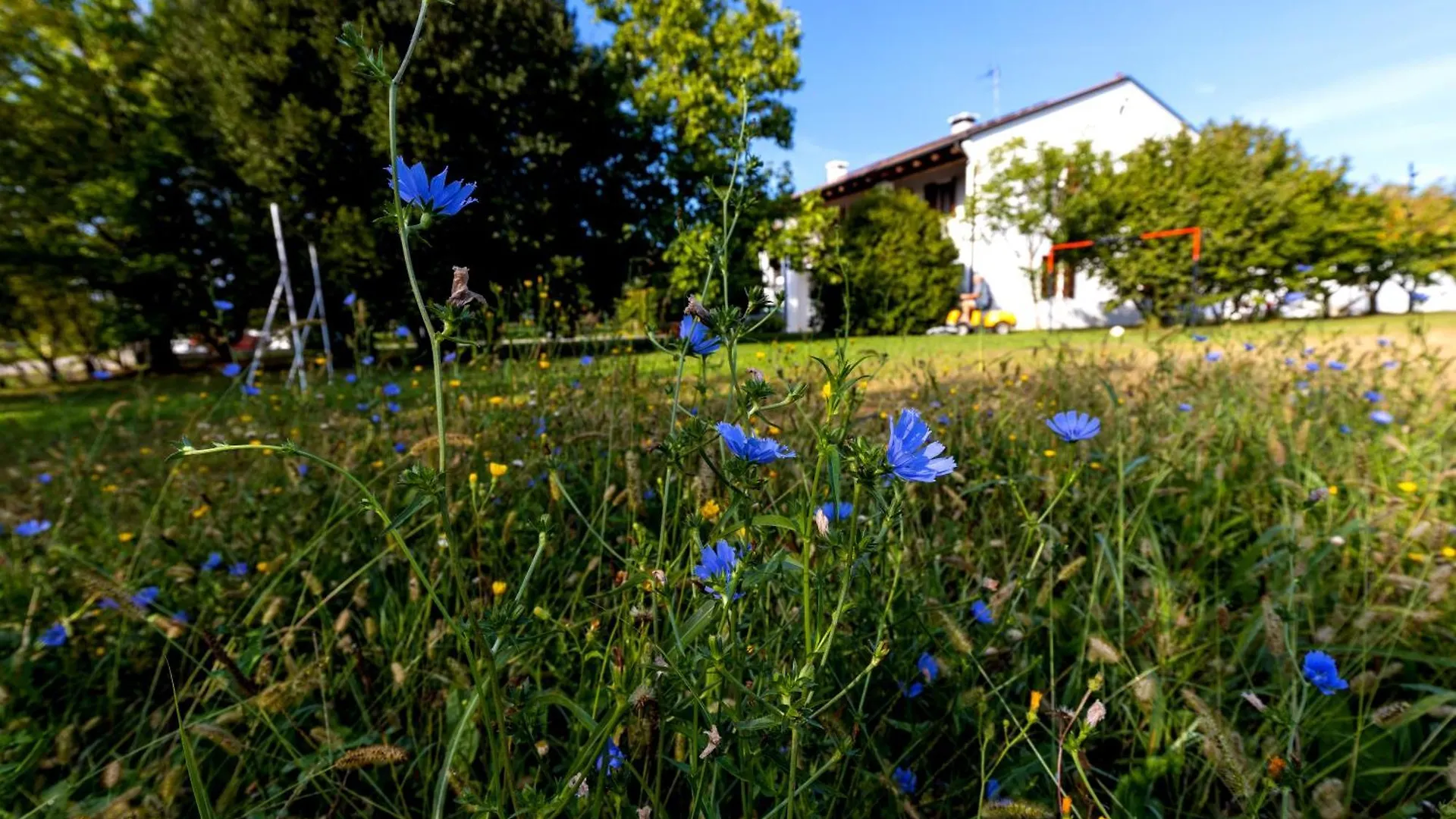 Apartment Fiori Di Campo Holiday Home Treviso